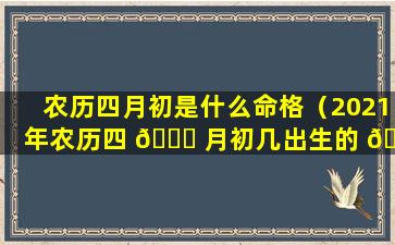 农历四月初是什么命格（2021年农历四 🐒 月初几出生的 🦄 宝宝命格好一点）